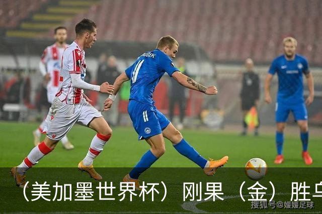 （美加墨世界杯）刚果（金）胜乌兹别克斯坦晋级 韩国无缘32强